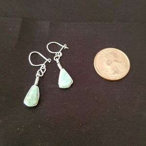 Blue Larimar earrings set in silver tone
